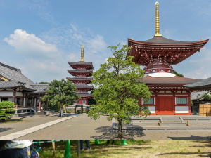 誕生寺の五重塔